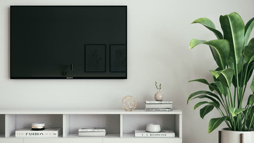 television oled qled