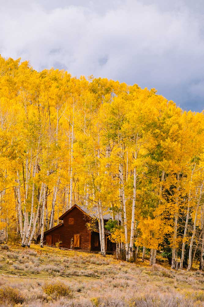 colorado fall foliage photography nathan lee allen