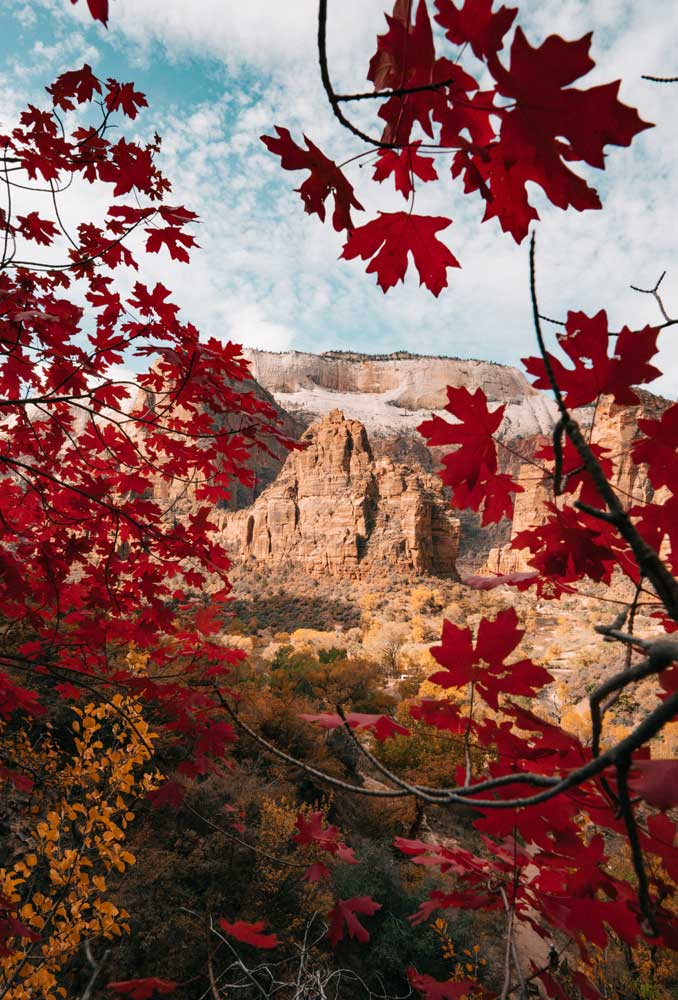angel's landing utah fall leaves