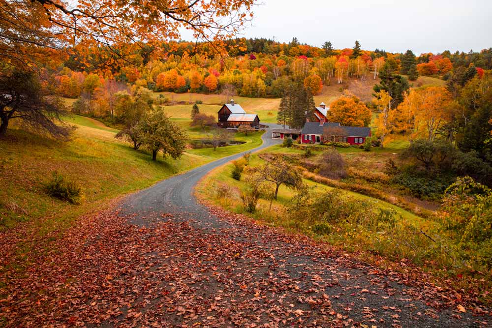 Vermont fall foliage photography