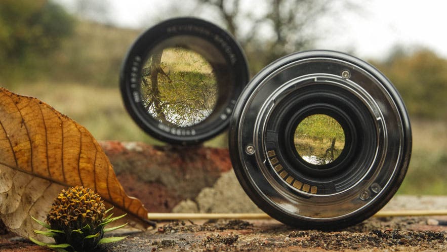 focal length lenses fall