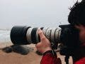 canon telephoto lens photographer