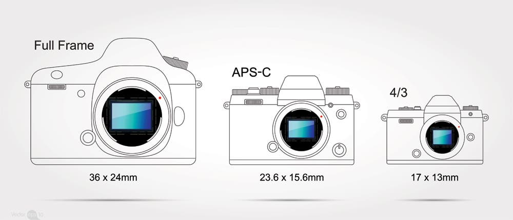 Compare digital camera sensor sizes: 1″-Type, 4/3, APS-C, full frame 35mm –