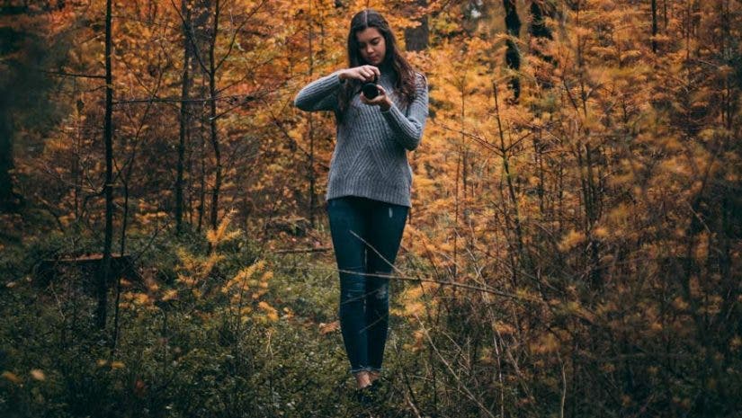 fall foliage photography