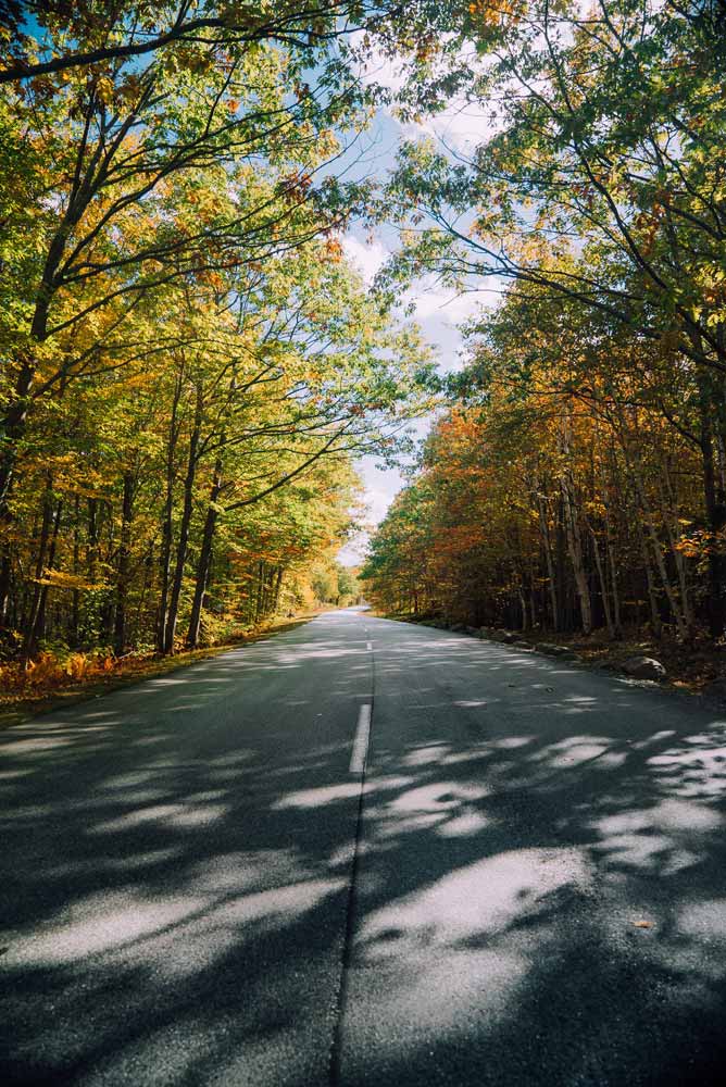 maine fall foliage photography