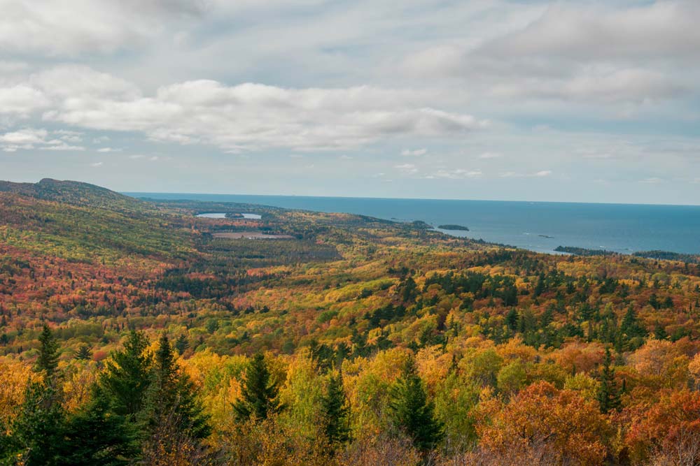 michigan fall leaves landscape photography