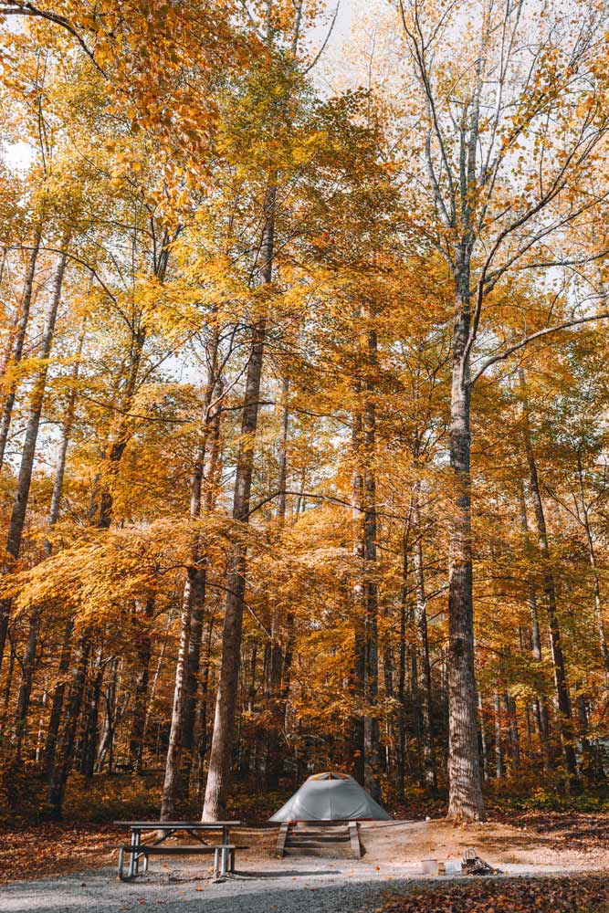 North Carolina Great Smoky Mountains