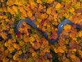 fall foliage photography states travel photography