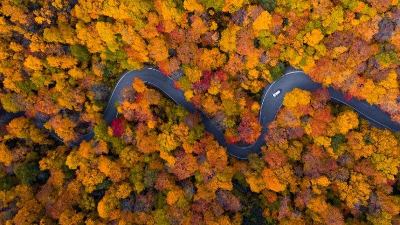 fall foliage photography states travel photography