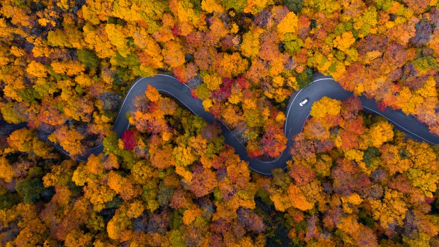 fall foliage photography states travel photography