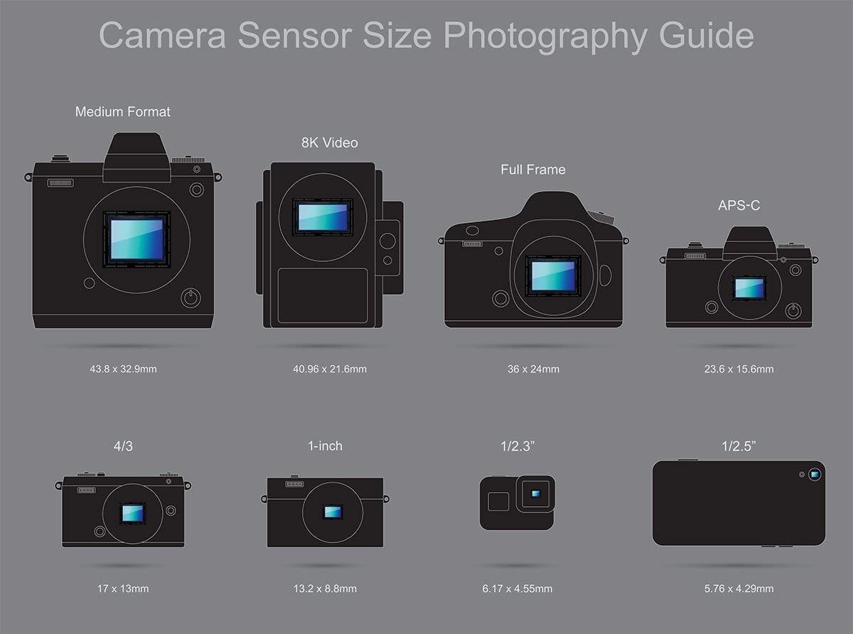 FAQ: What are the Different Camera Sensor Sizes? - Adorama