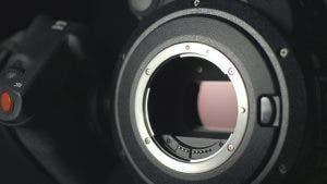 FAQ: What are the Different Camera Sensor Sizes? - Adorama