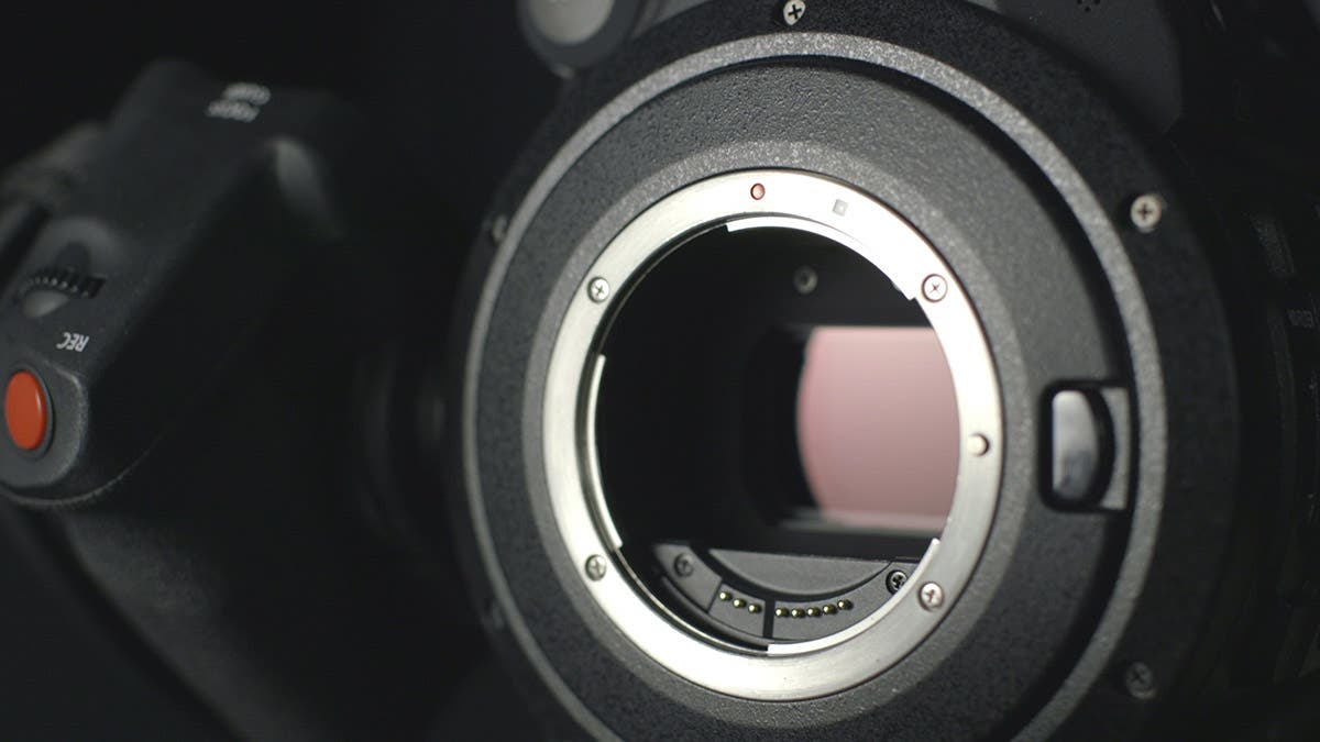 camera sensor