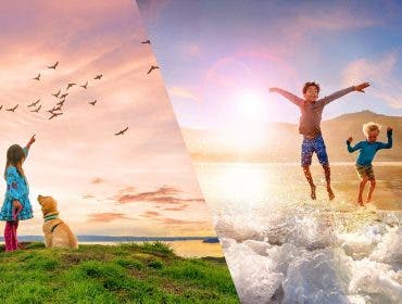 Adobe Elements 2021, Adobe Photoshop Elements 2021, Adobe Premiere Elements 2021