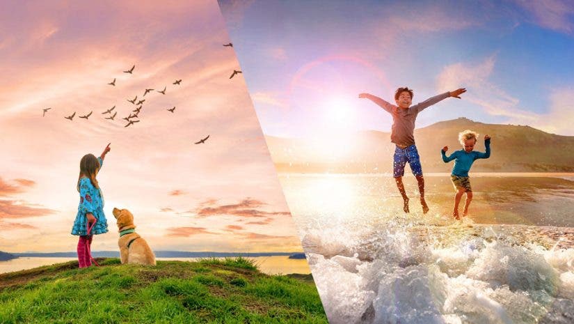 Adobe Elements 2021, Adobe Photoshop Elements 2021, Adobe Premiere Elements 2021