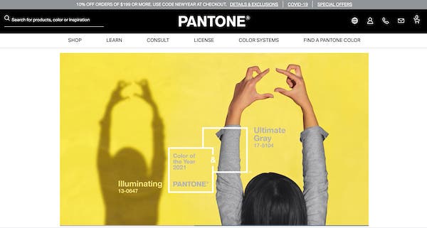 Pantone Color of the Year 2021