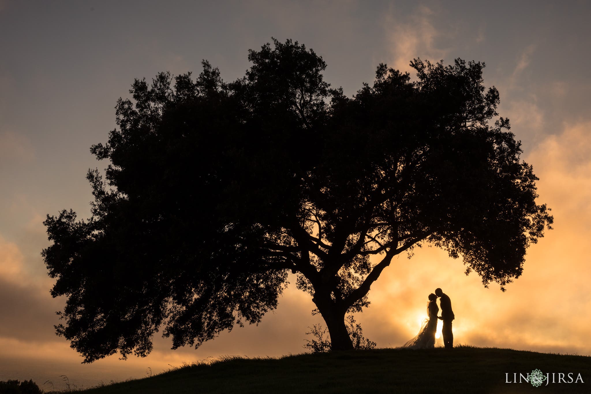 Couple stands in silhouette under a tree