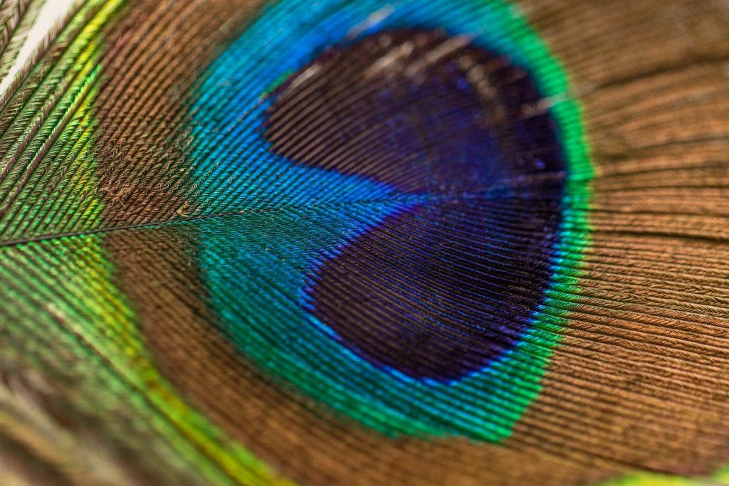 What Is Texture in Photography and How to Capture It - 42West, Adorama
