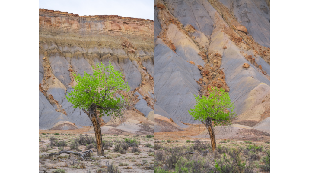 150mm (left) vs 70mm (right) of the same subject.