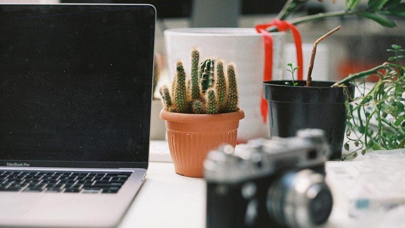 photography courses laptop and camera