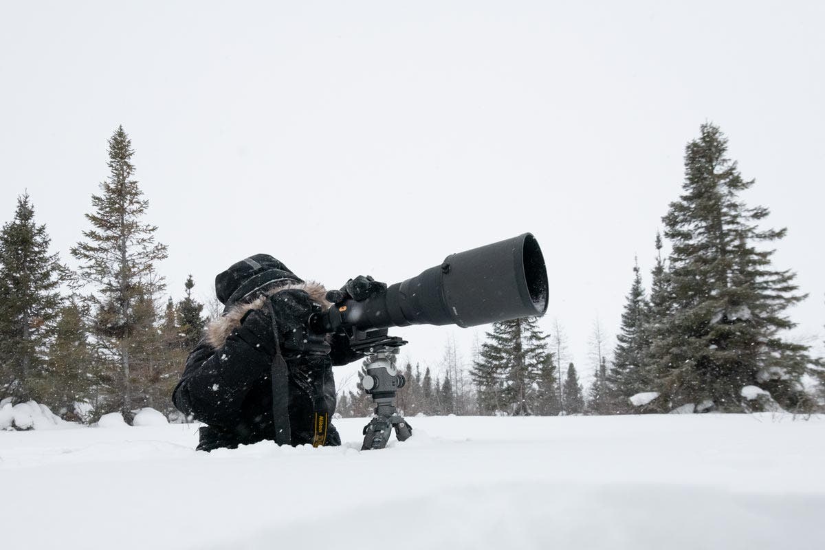 gitzo ball head telephoto lenses