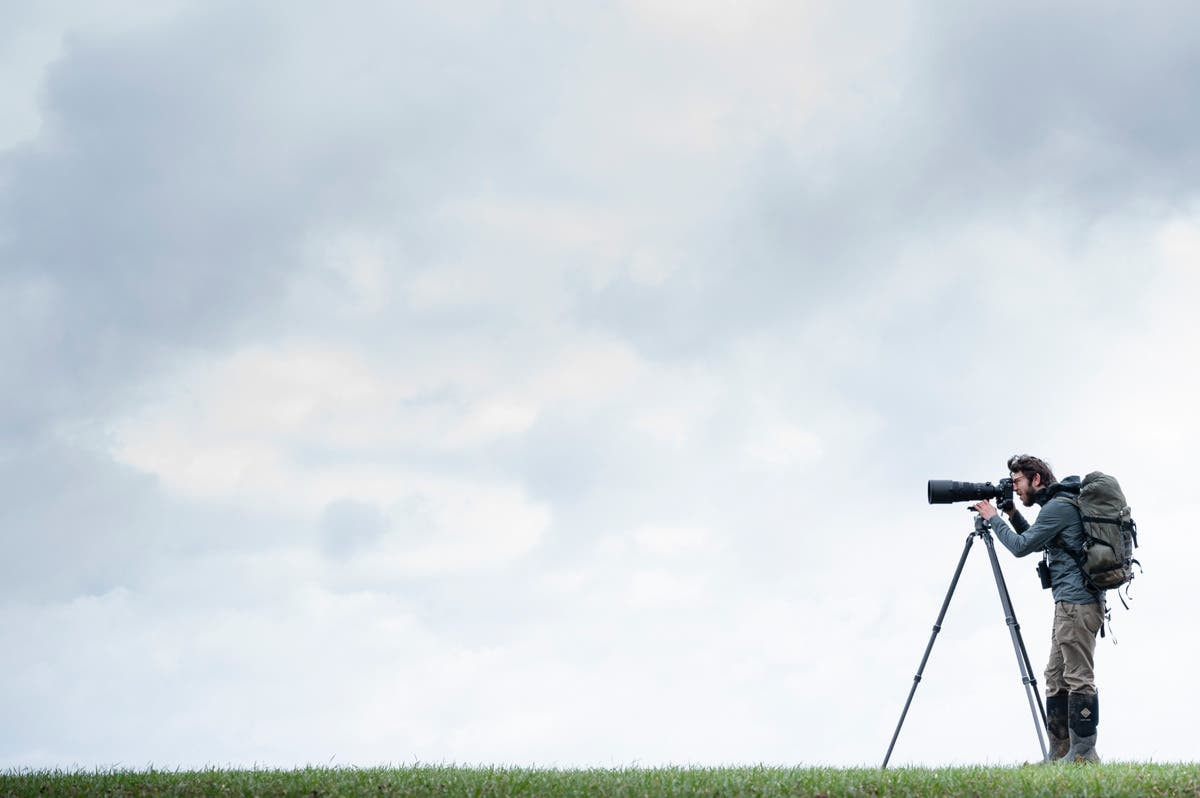 gitzo ball head telephoto lenses