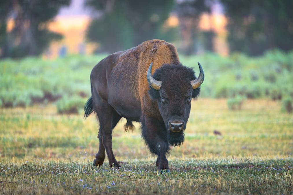 high or low example for composition