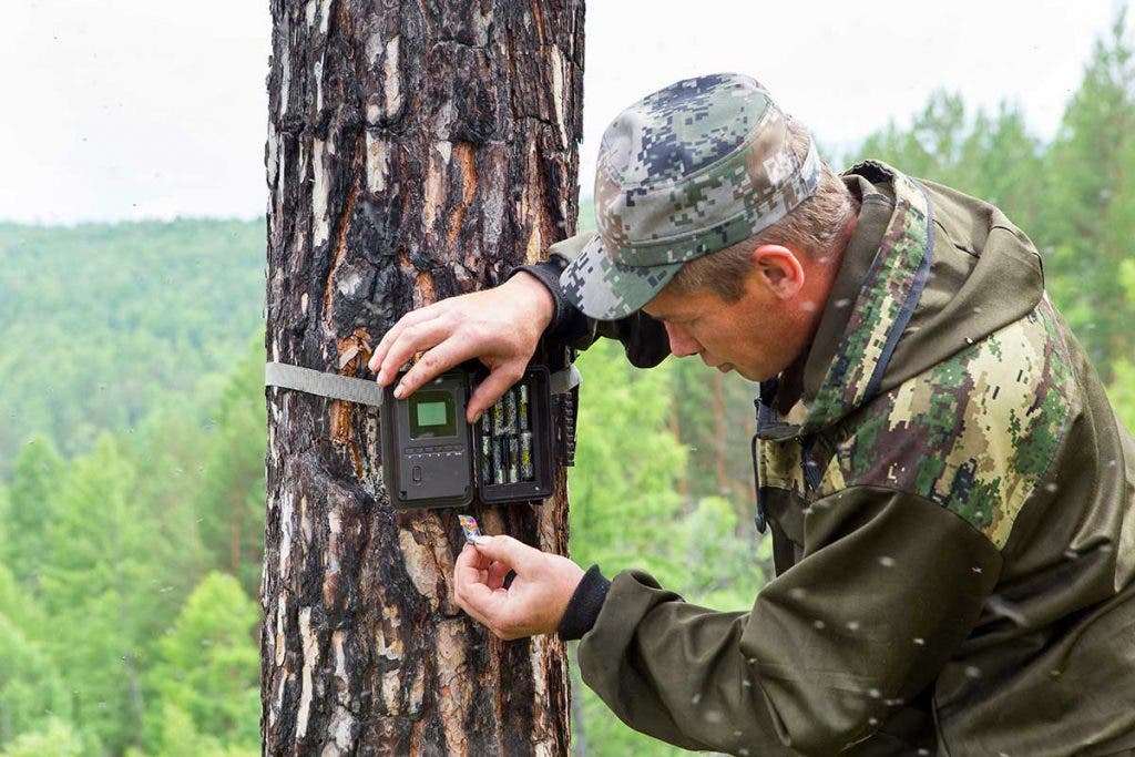 hunter setting up trail camera