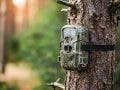 trail camera on tree