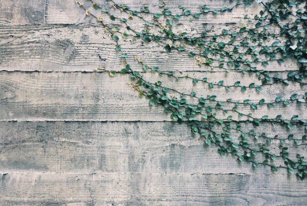 What is Asymmetrical Balance in Photography & How to Use It 42West