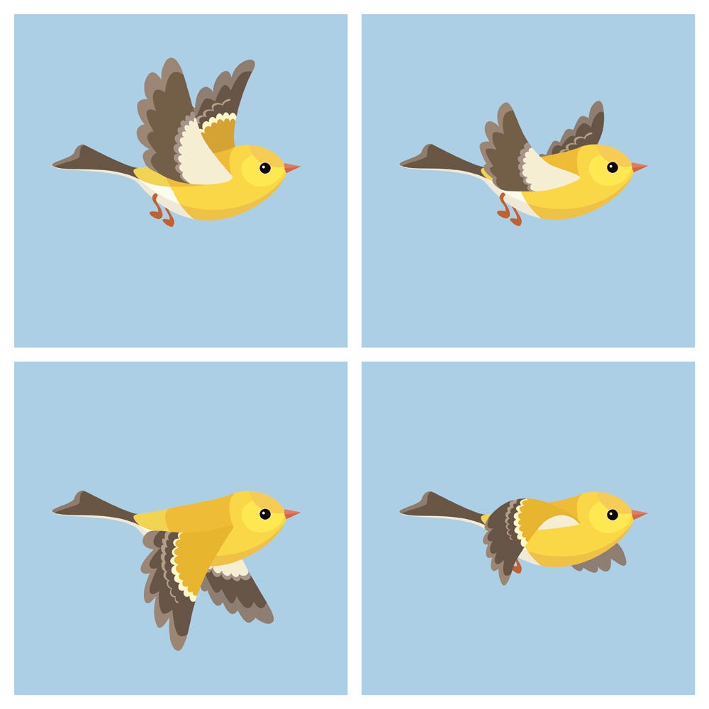 birds flapping wings sequence images