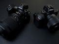 Nikon Z 105mm f/2.8 VR S and NIKKOR Z MC 50mm f/2.8