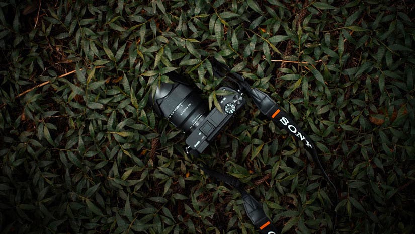 lenses for sony 6400