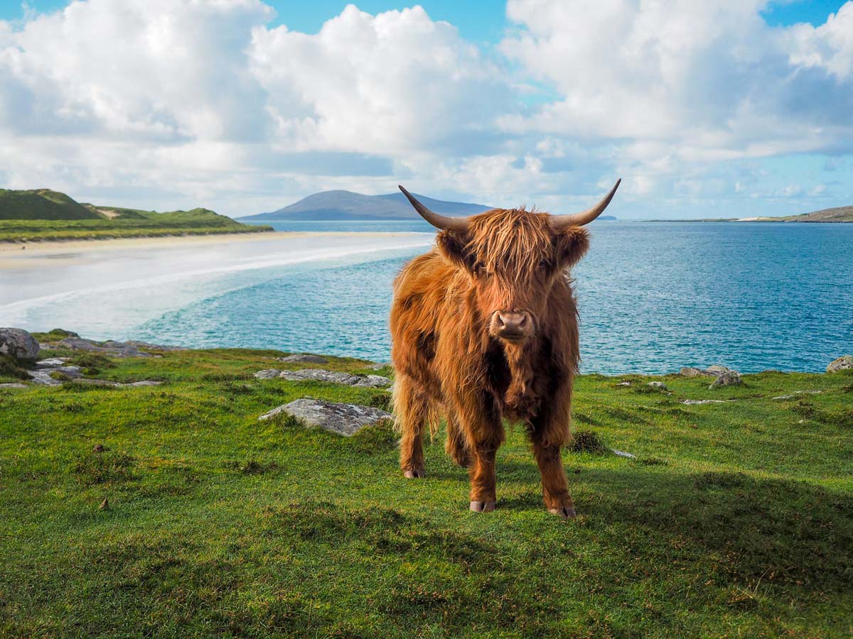 Scottish Highlands