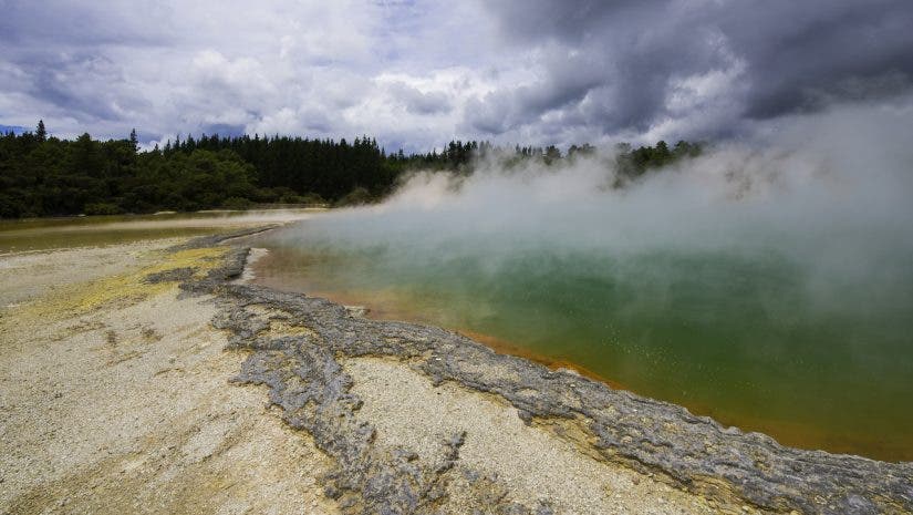Champagne pool