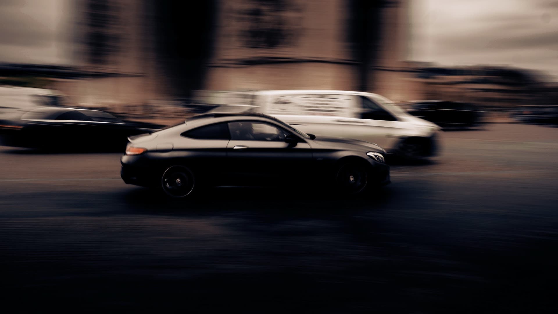 panning shot of birds