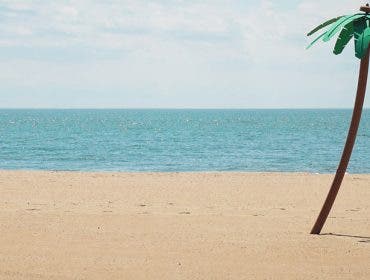 Beach Feature