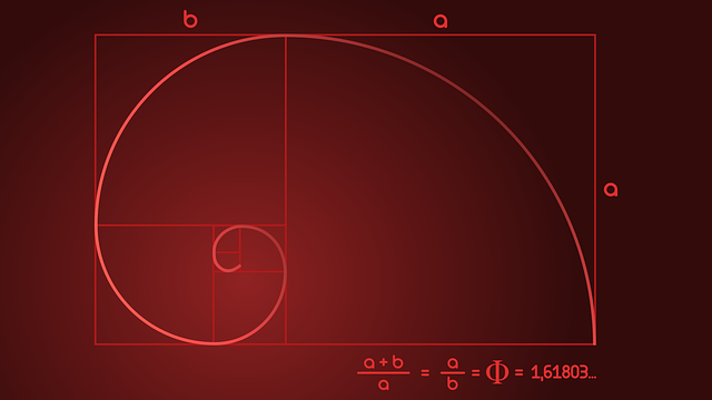 Understanding the Fibonacci Spiral - 42West, Adorama