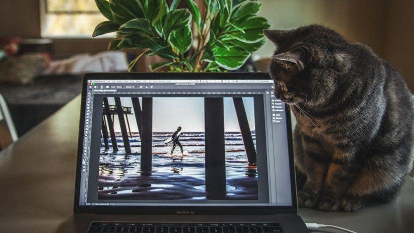 How to Create an Effective Photoshop Workflow - 42West, Adorama
