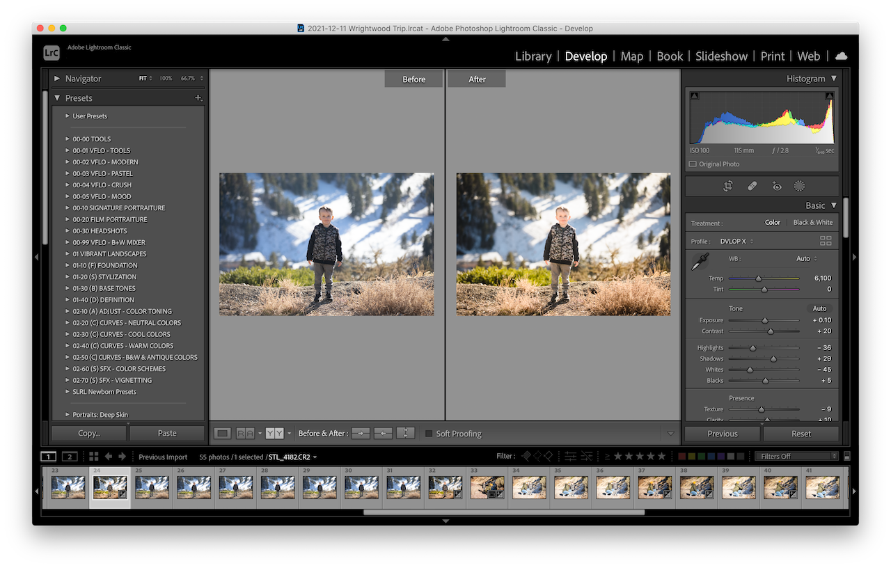 Lightroom vs Photoshop example of LR with before/after