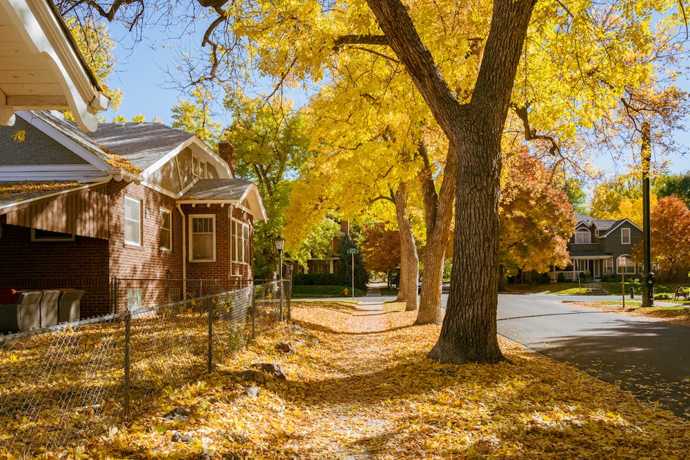 Best City Photo Spots in Denver -Washington Park neighborhood