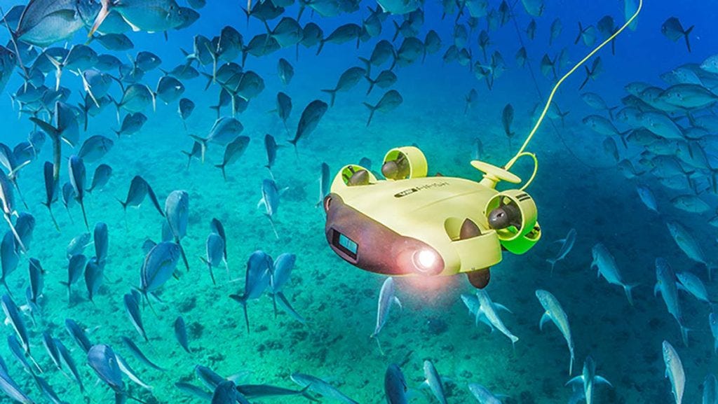 qysea underwater drone with fish in australia ocean