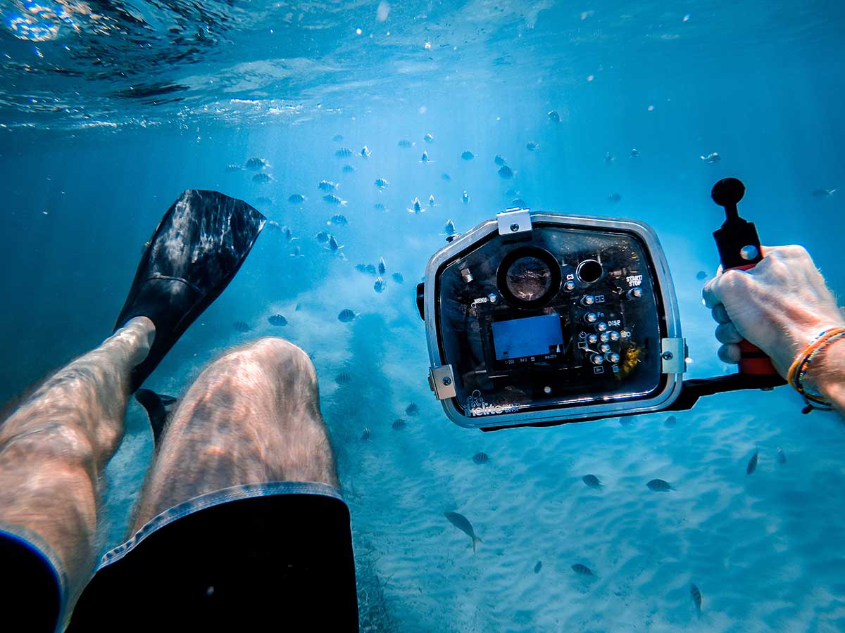 Best Waterproof Underwater Cameras in 2024 Adorama