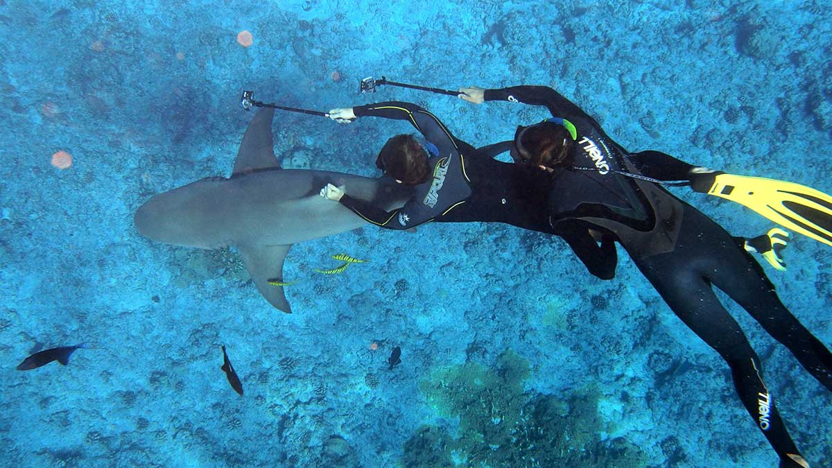 divers with waterproof underwater camera photographing sharks