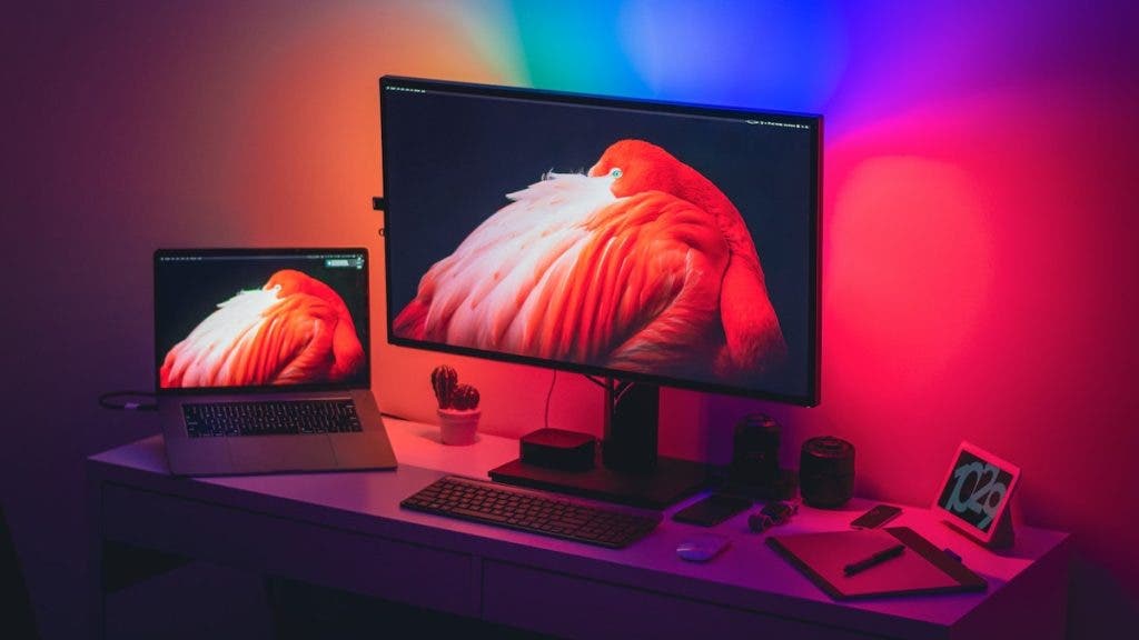 Best Monitors for MacBook Pro - 42West, Adorama