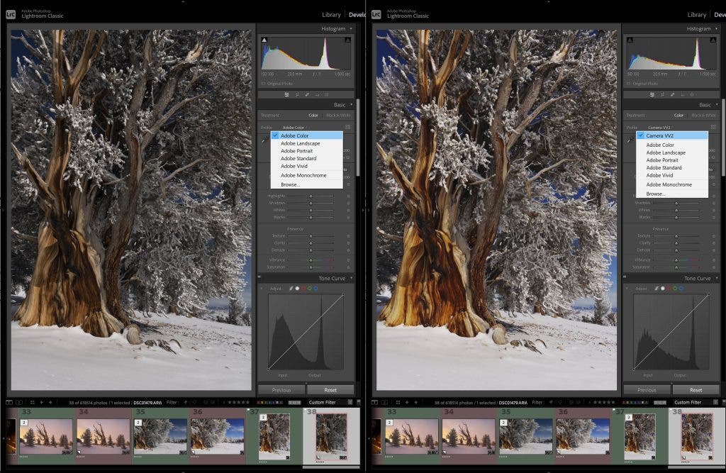 Capture One vs Lightroom What You Need To Know Adorama