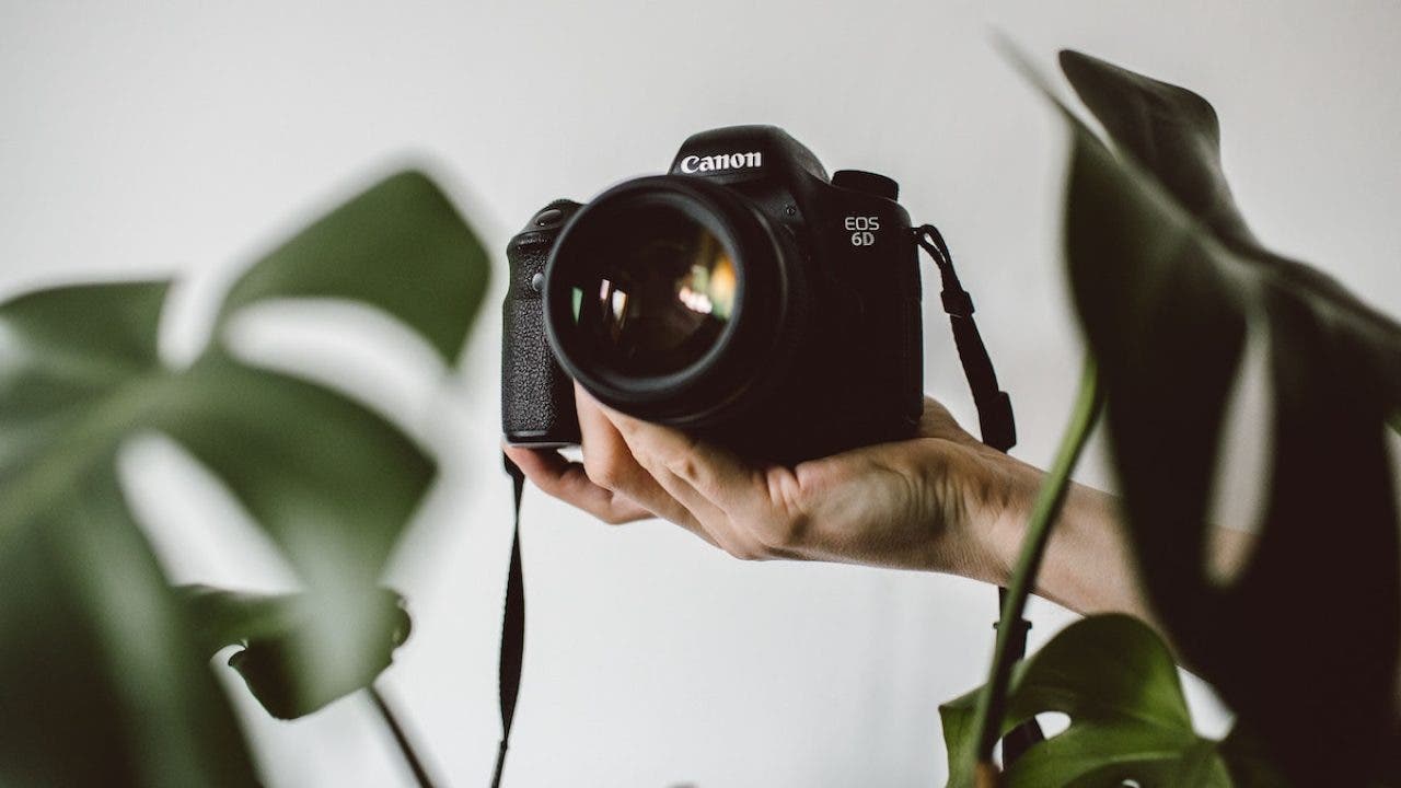 best dslr camera for enthusiasts