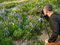 A photographer makes a landscape image of flowers