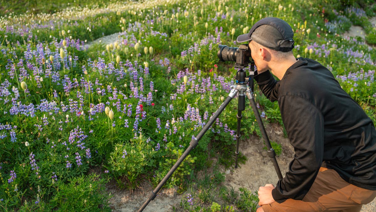 A photographer makes a landscape image of flowers