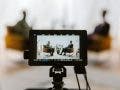 A monitor on top of a camera capturing an interview